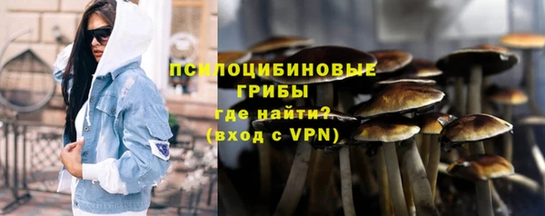 трава Арсеньев