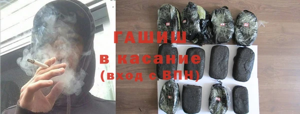 стаф Алзамай