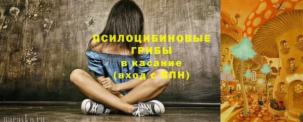 стаф Алзамай