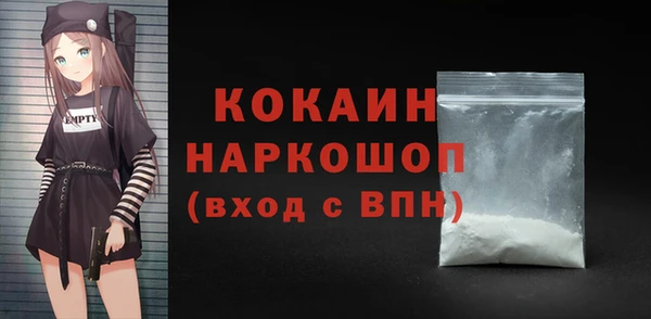 стаф Алзамай