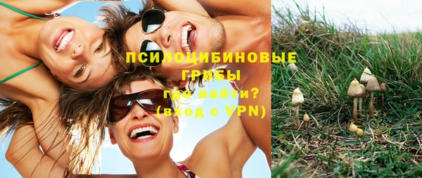 стаф Алзамай