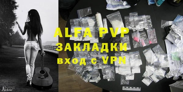стаф Алзамай