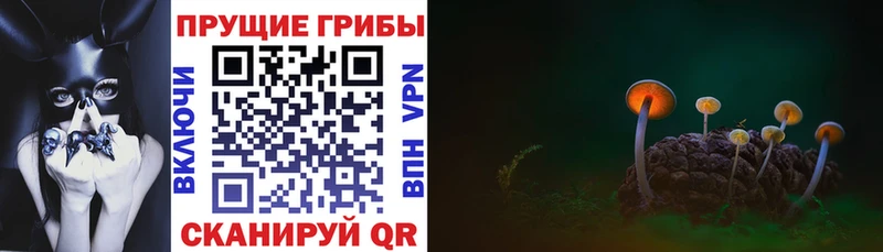 Галлюциногенные грибы мицелий  Купить где  Ужур 