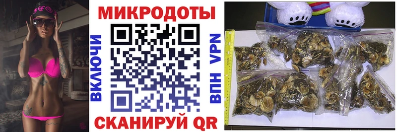 Галлюциногенные грибы Psilocybe Ужур